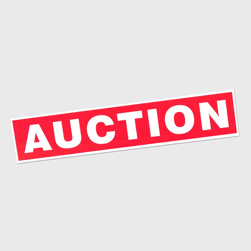 Corflute: AUCTION