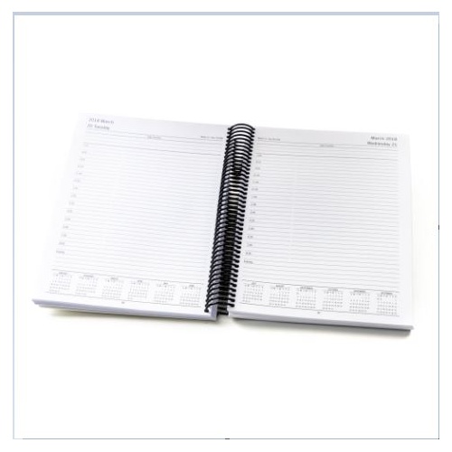 REIQ Day-To-Page Diary Insert 2026